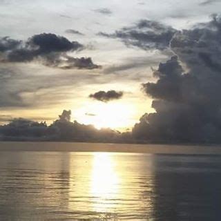 rod dumaguete|Dumaguete .